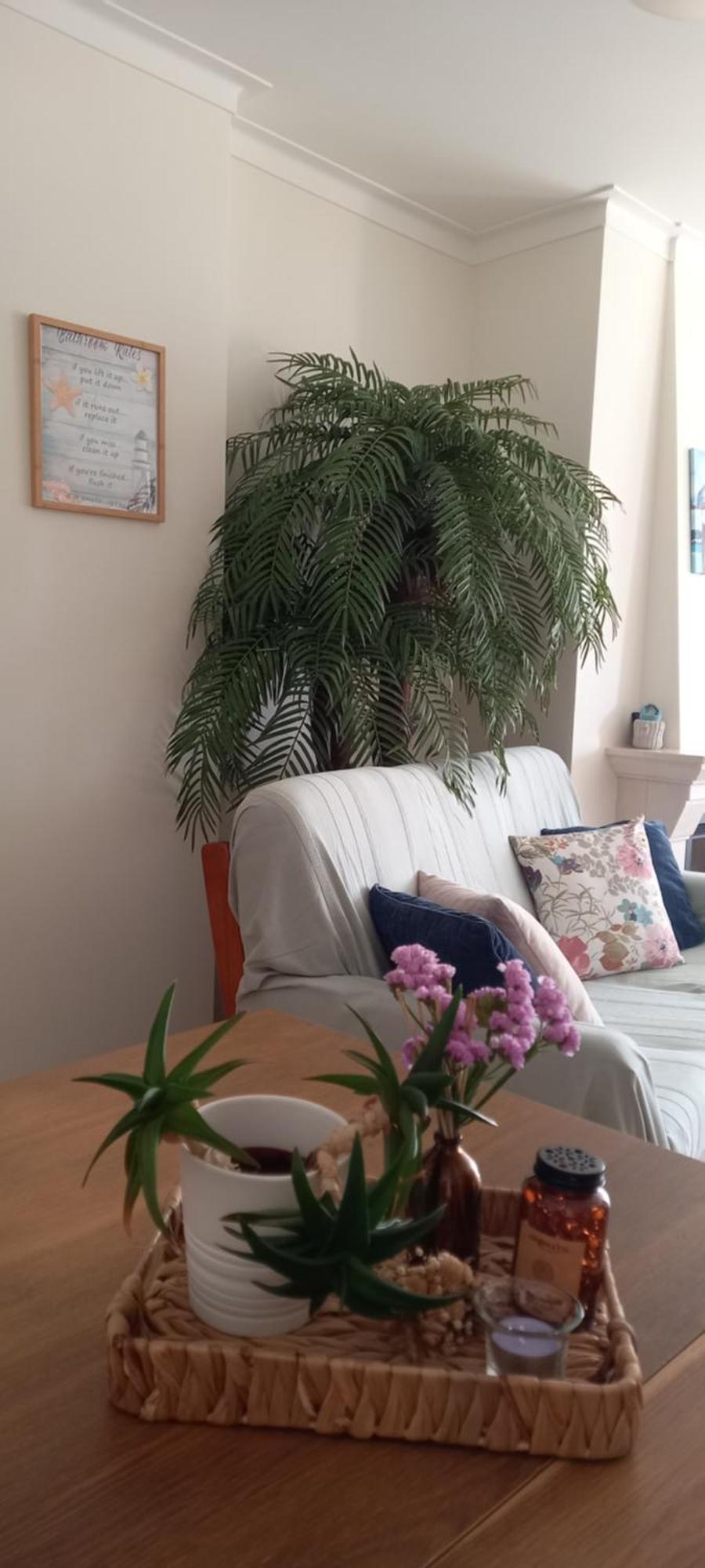 巴勒尔Filipe'S House公寓 外观 照片
